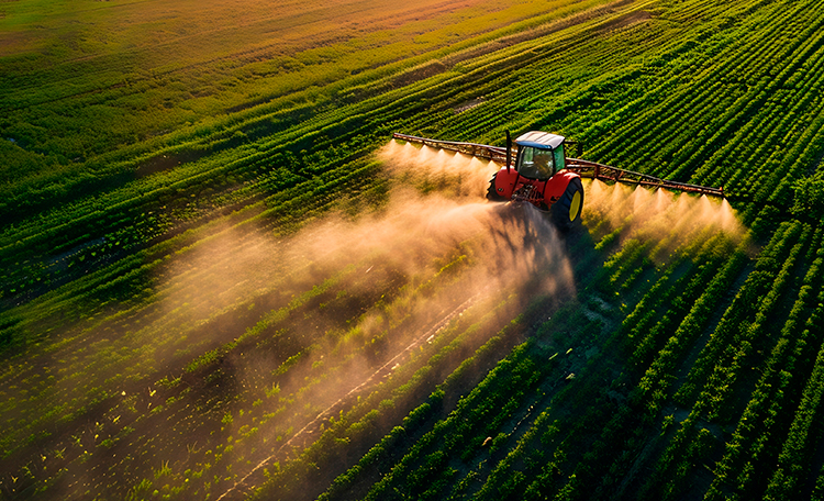 Valuation no agro