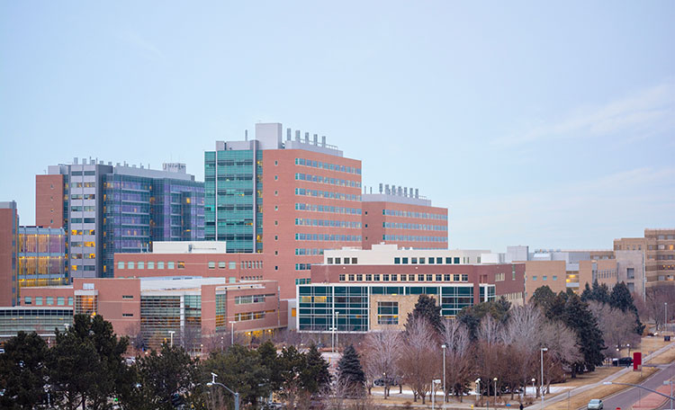 Urban Hospital Network