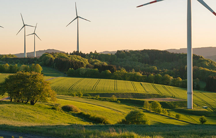 windmills