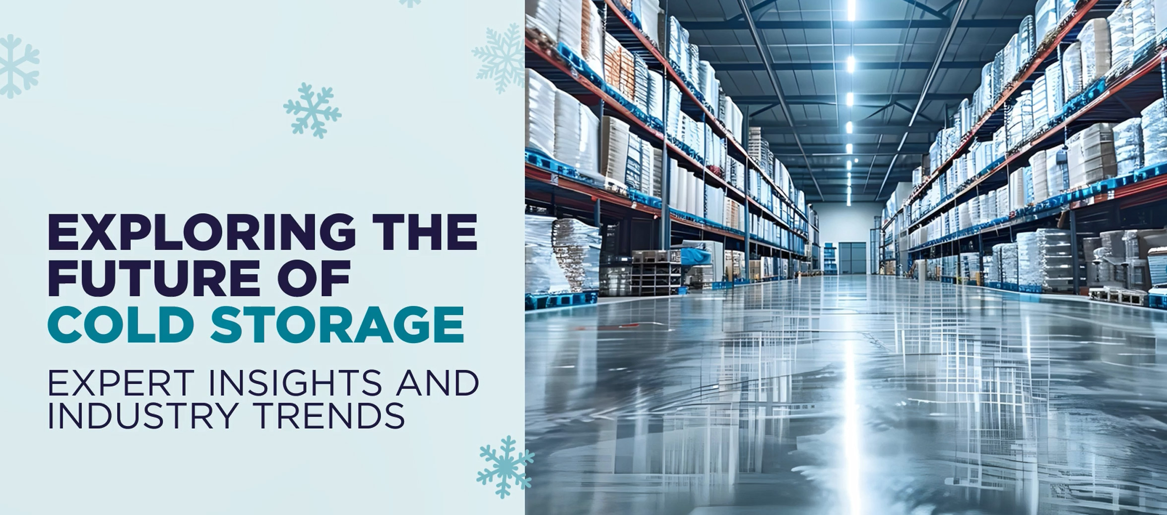 Cold Storage Video