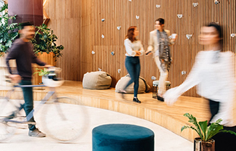 Flex Office