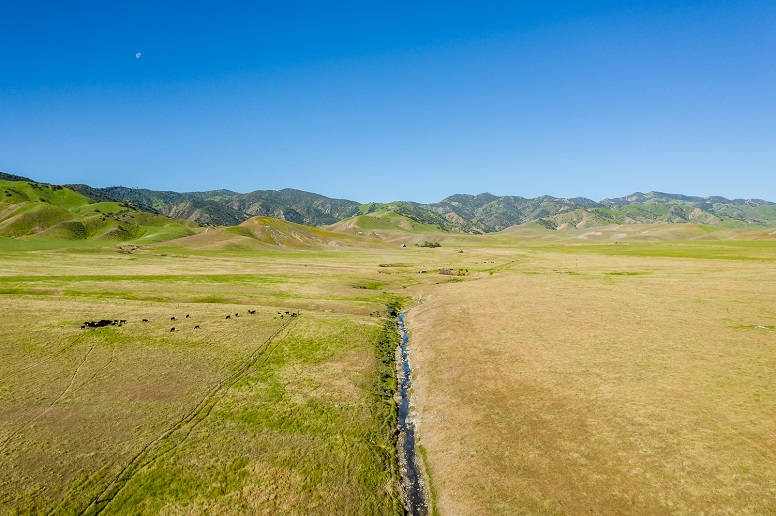 Ashurst Ranch