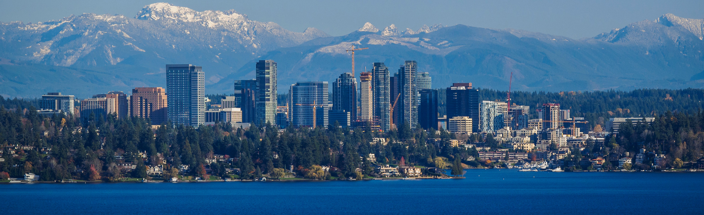 Bellevue-Office-Banner-Desktop