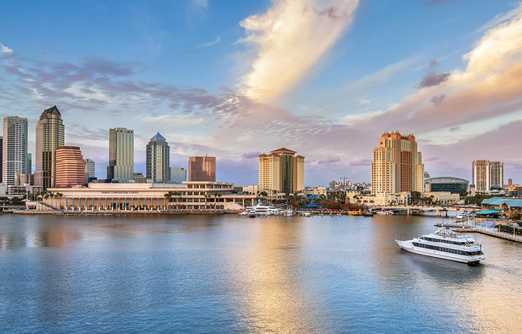 tampa mobile