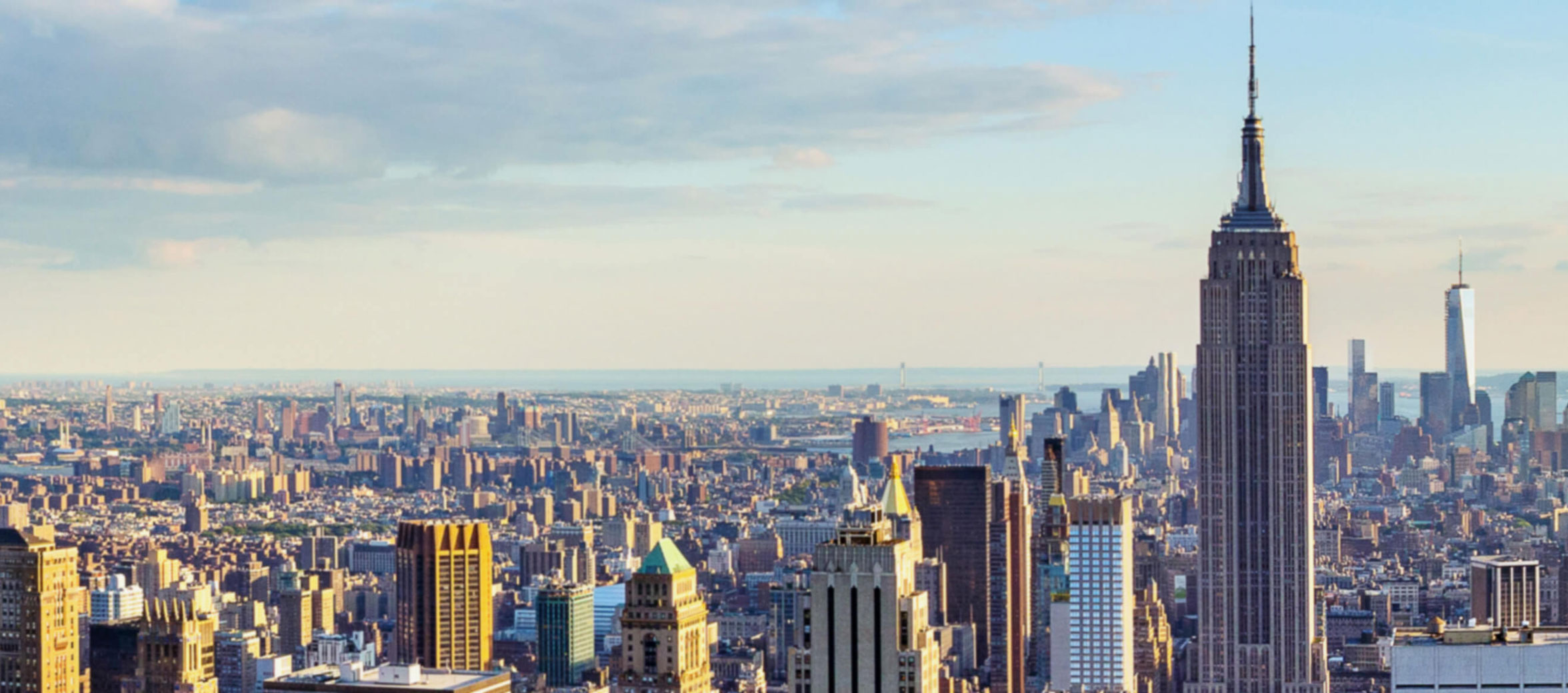 New York City Tenant Rep (image)