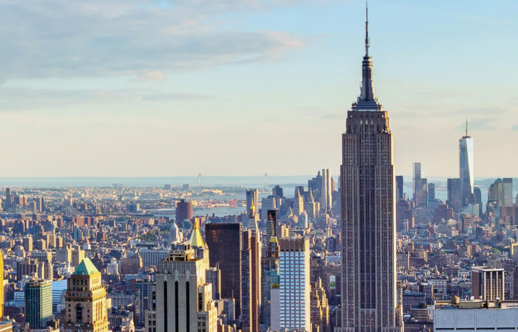 New York City Tenant Rep (image)