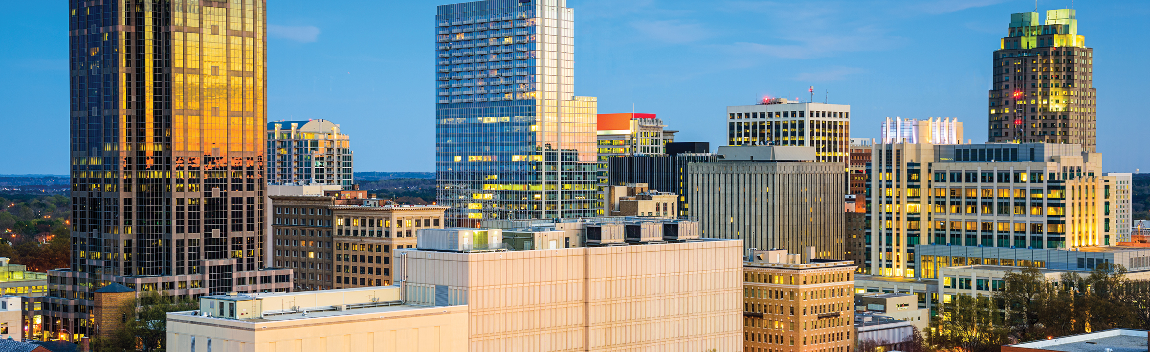 raleigh skyline