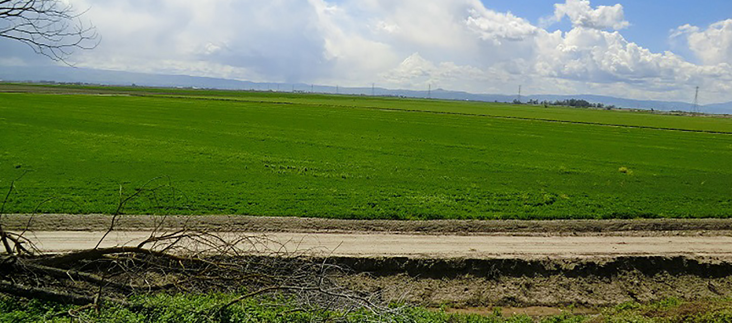 Burns Tract