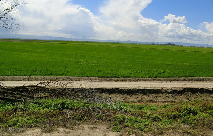 Burns Tract