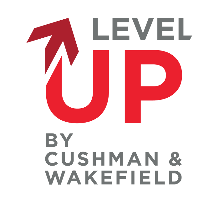 Level Up Logo (image)