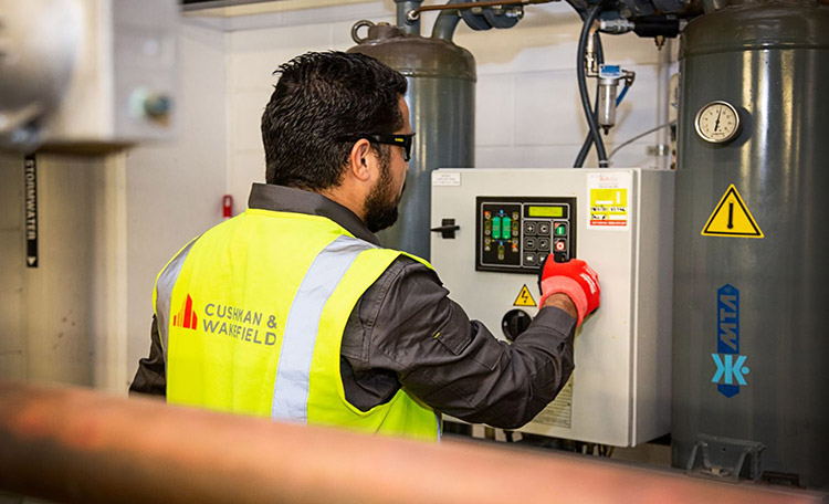Harnessing the Power of Physical Environment for a Sustainable Future