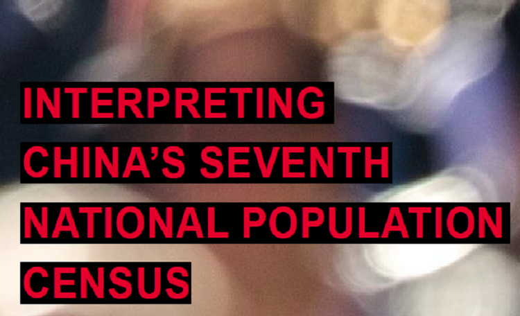 China National Population Census Report 2021