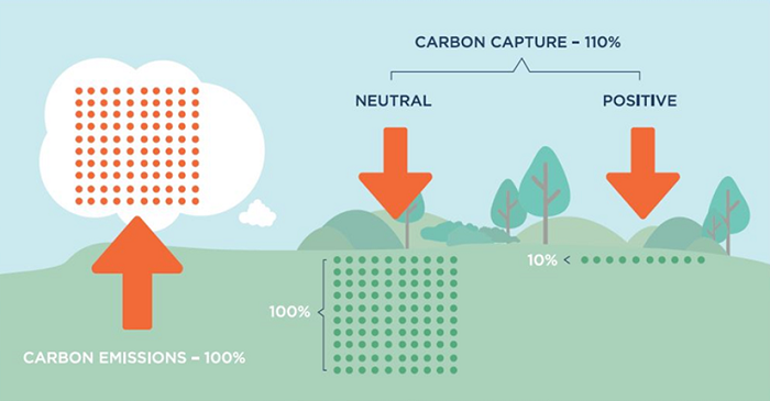 Basic Workings of Climate Positive
