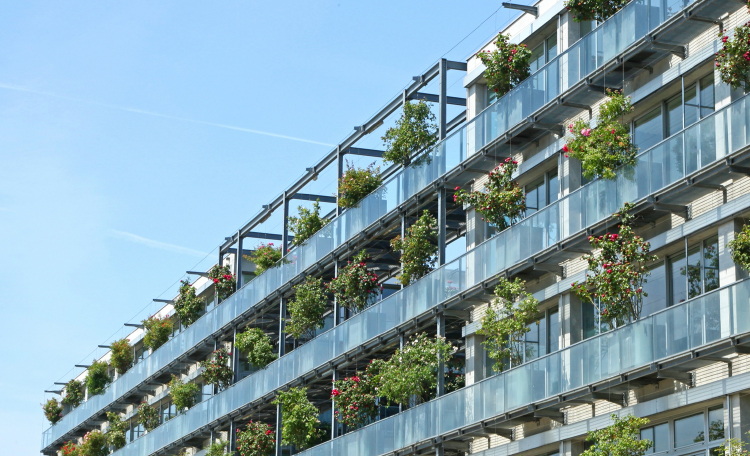 Sustainability – Purpose-Led growth