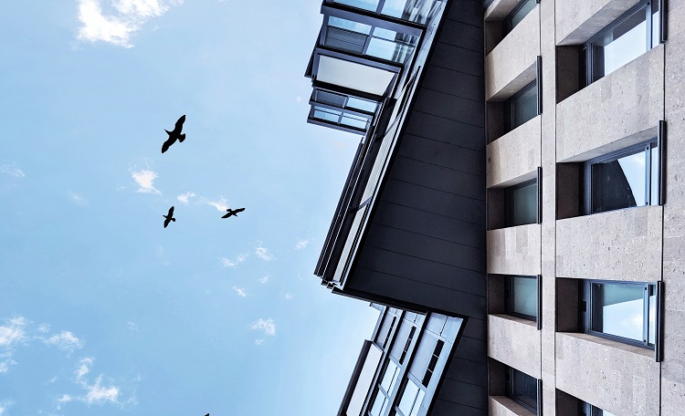 The next big thing in Indian Realty – Professionally managed Student Accommodation