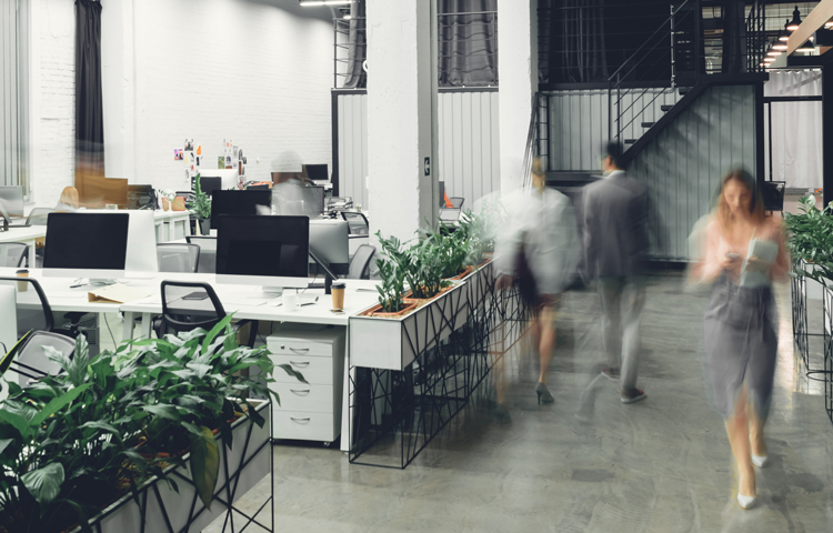 office workplace