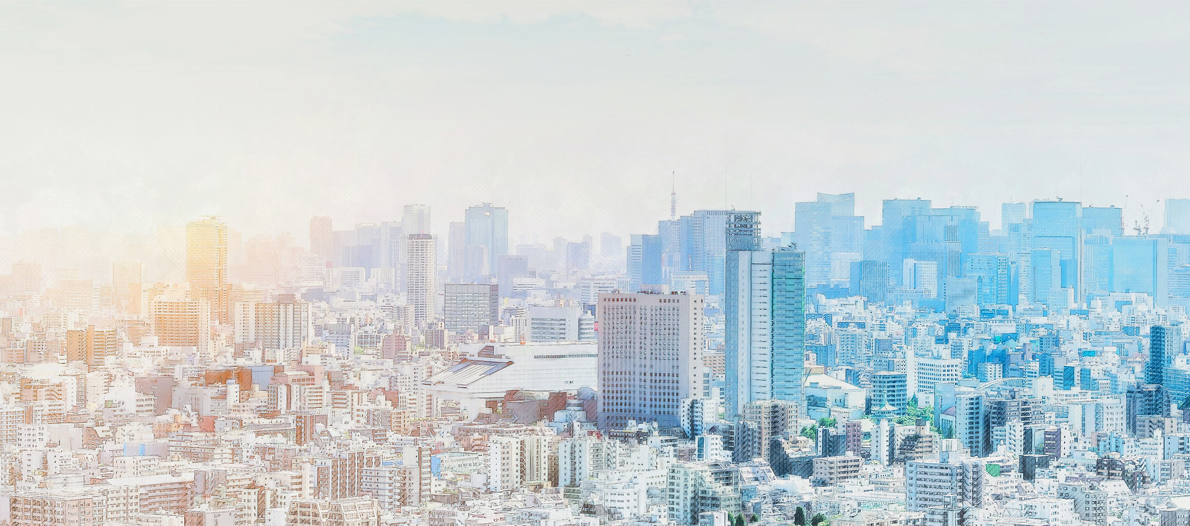 Understanding the long term growth vision of Japanese cities