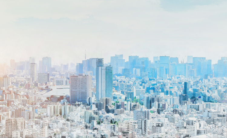 Understanding the long term growth vision of Japanese cities