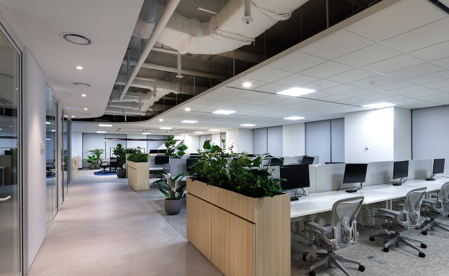 Korea-office8-cw_3831---1560-960-compressed