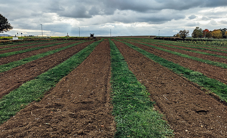 agricultural land