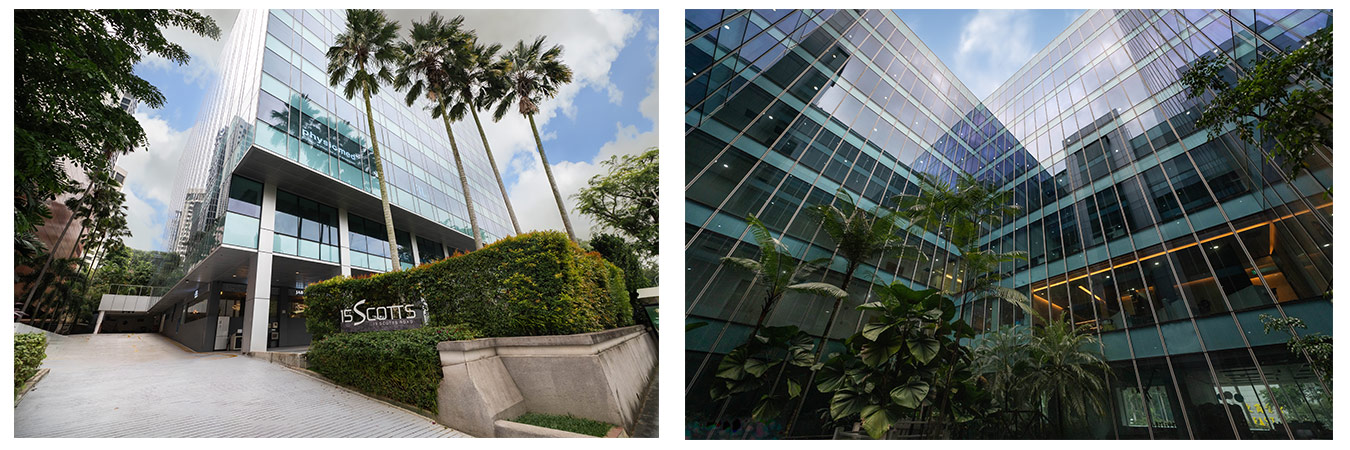 Freehold Commercial Strata