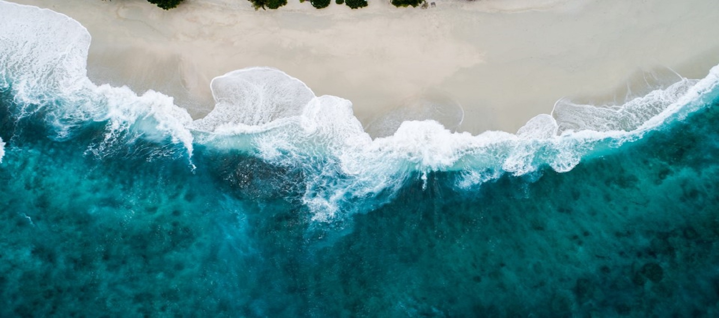 Vietnam coast