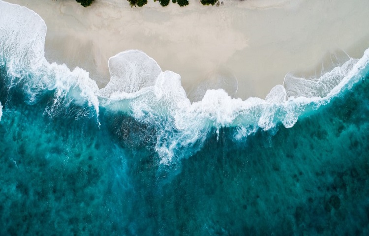 Vietnam coast