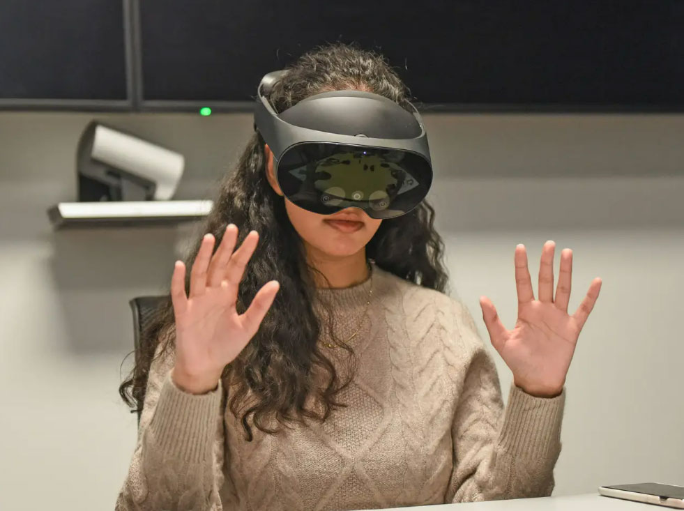 Metaverse-pic