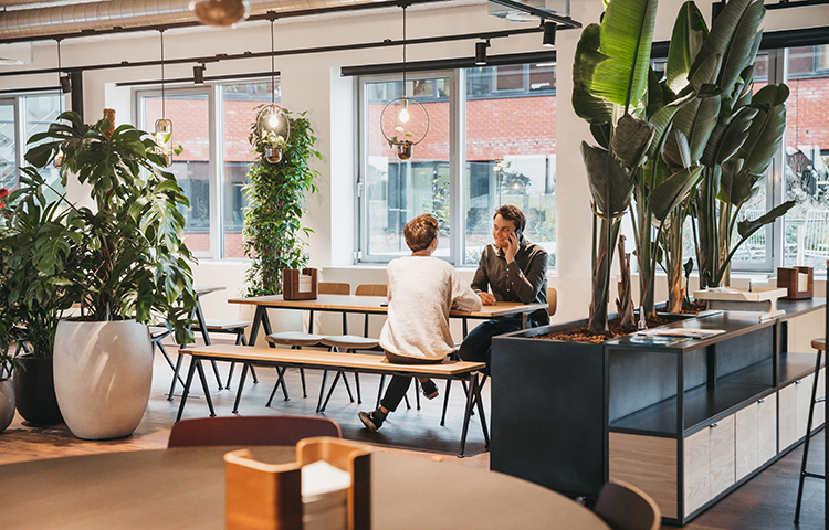 The future of the office in Belgium