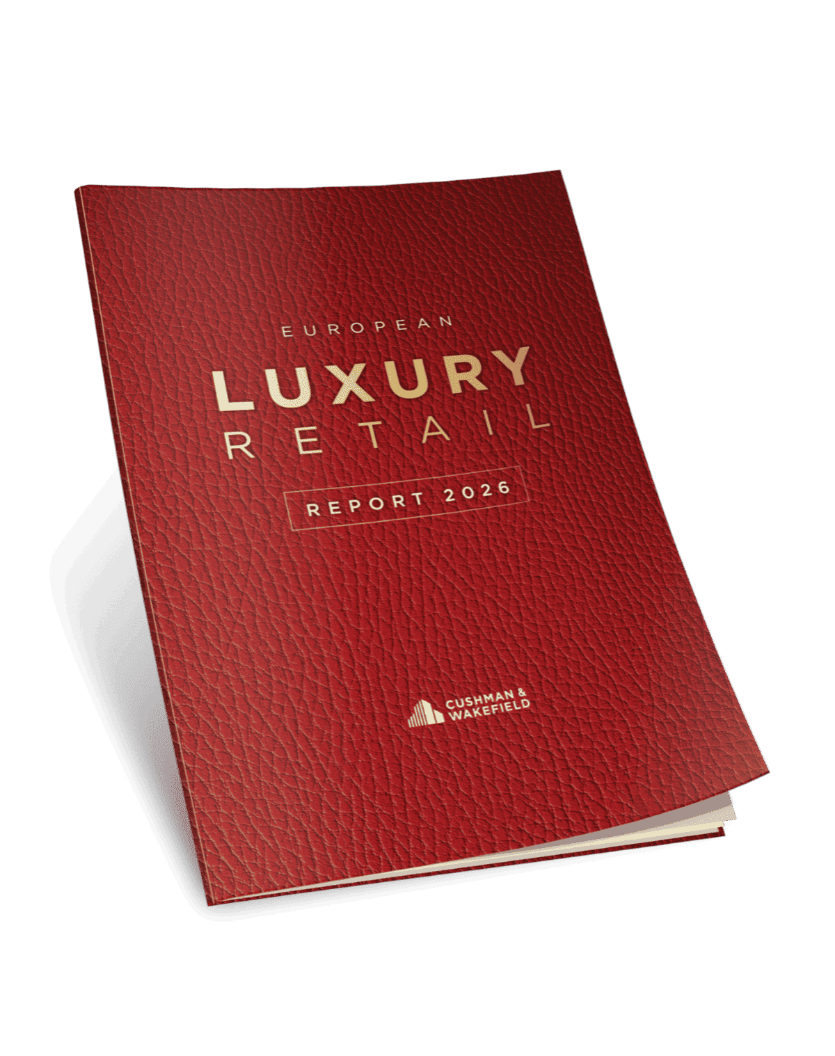 red report, Luxury Retail, mock-up