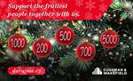 Christmas ball, decoration, charity