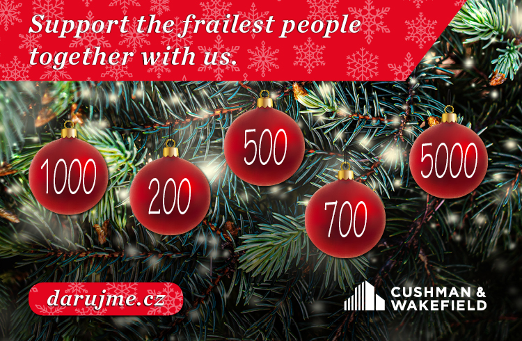 Christmas ball, decoration, charity