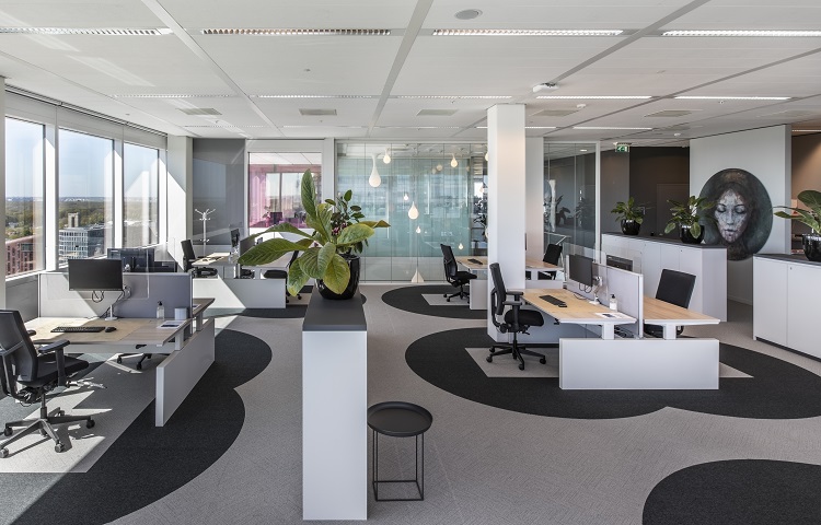 Six Feet Office