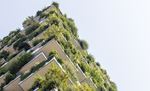 building with plants