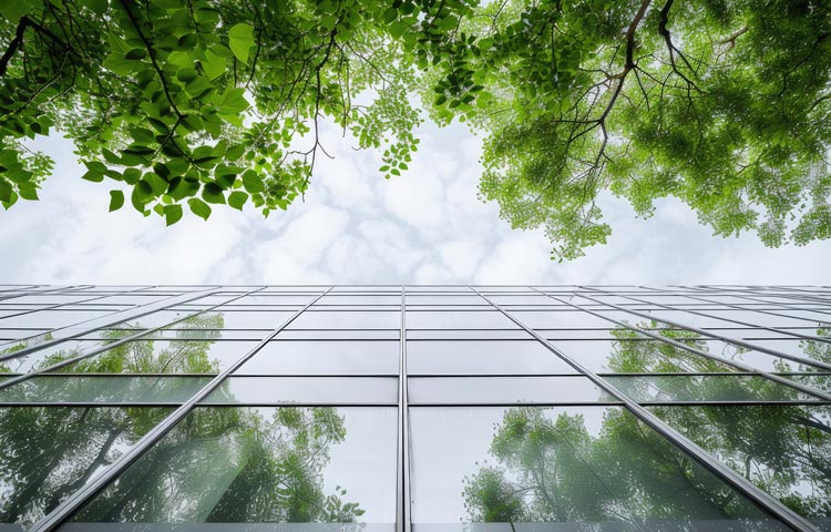 Sustainability