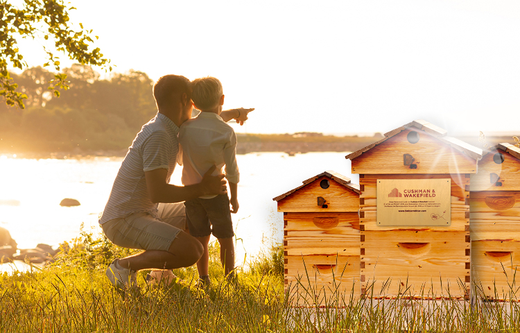 Father and son looking at the bee hotels
