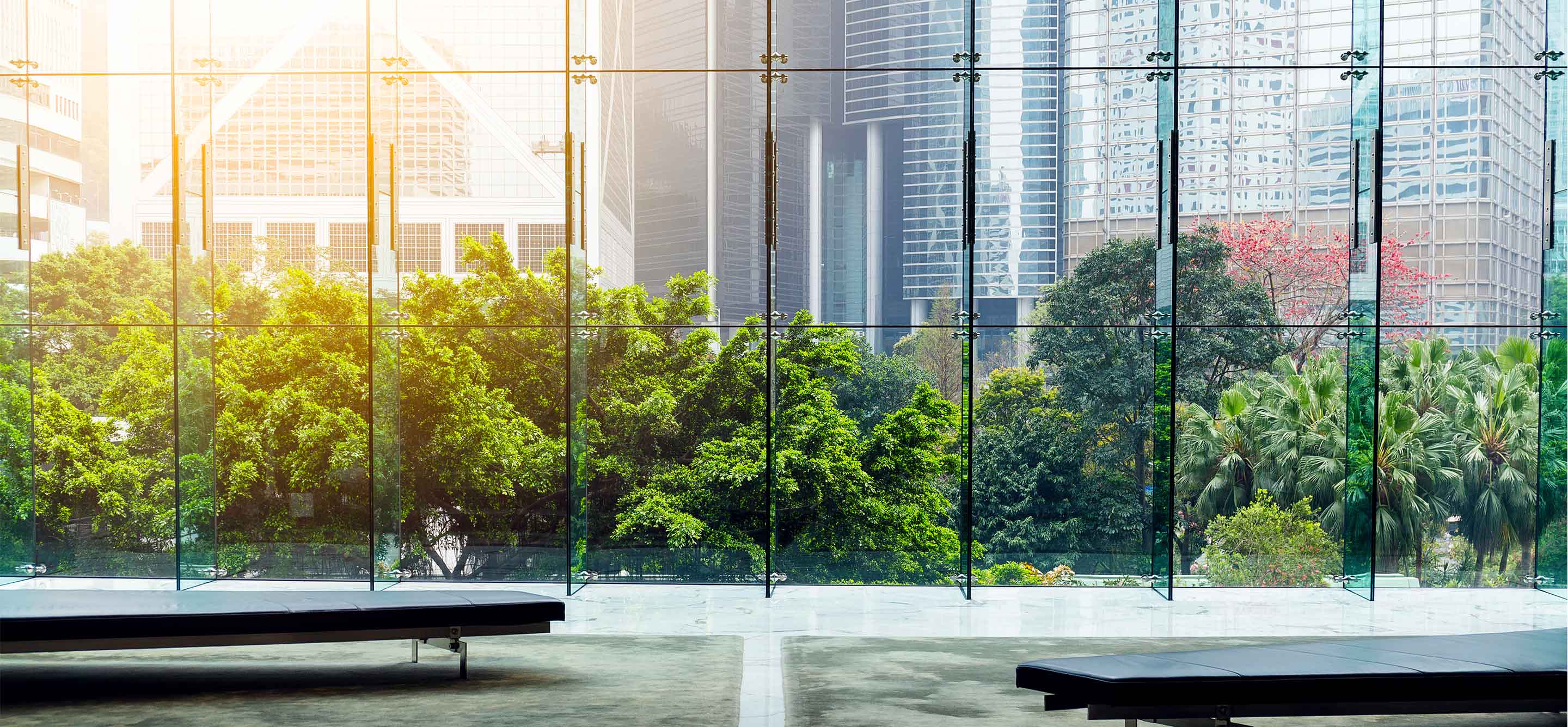 Office building glass wall with reflection