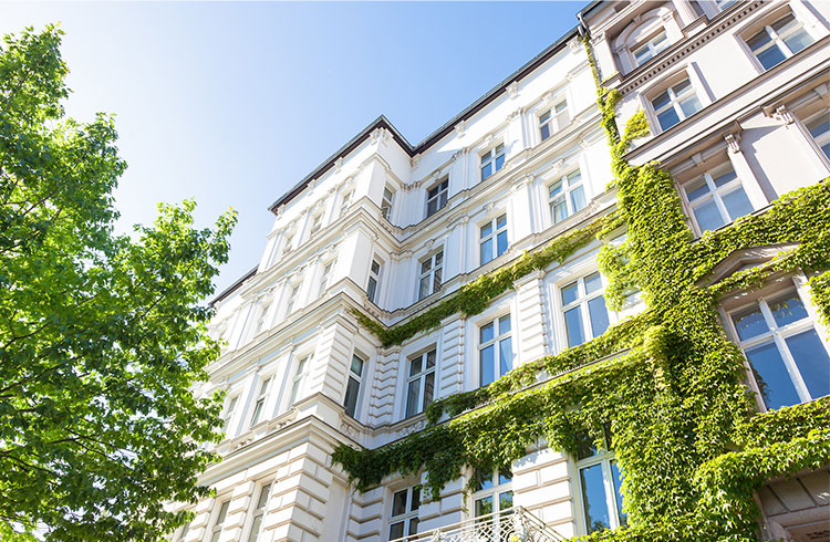 picture of a residential building