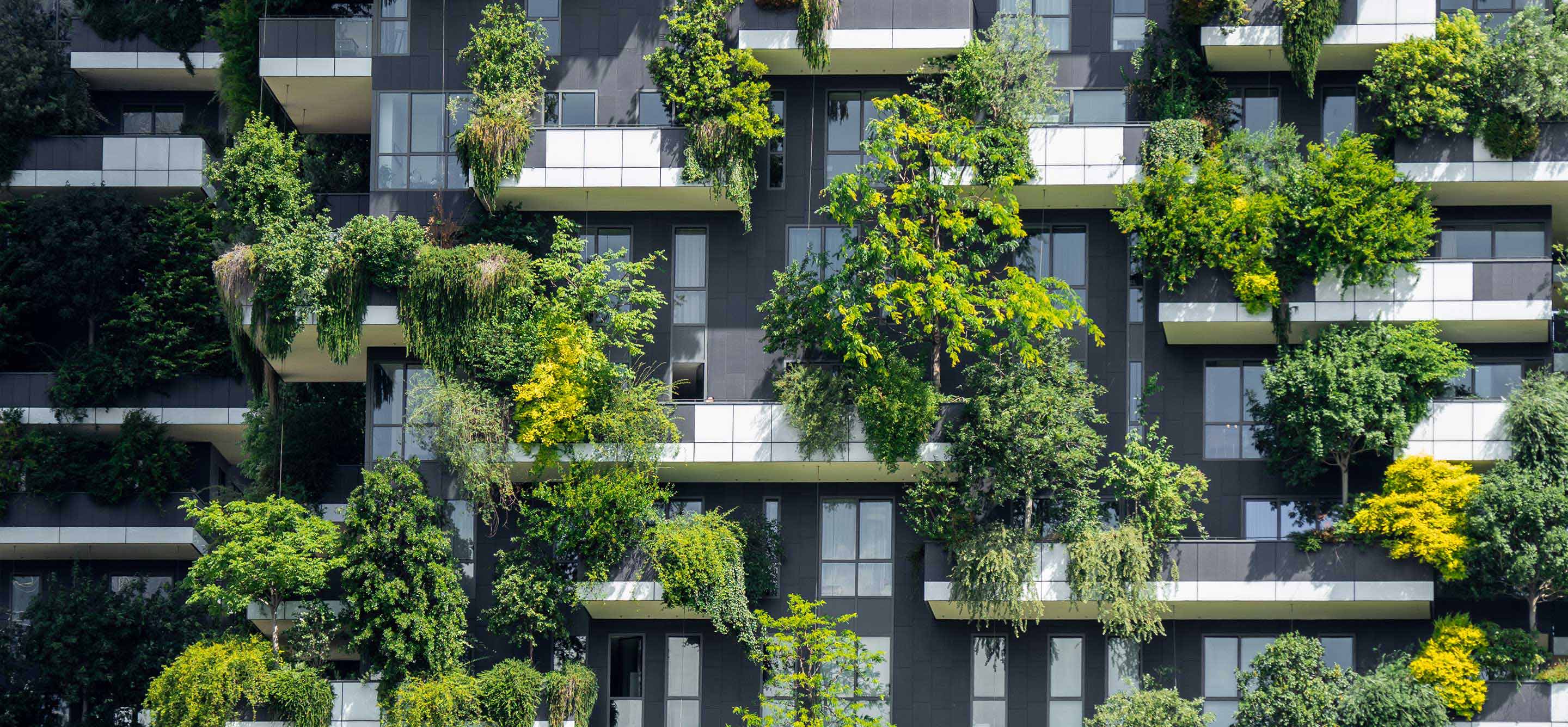 ESG & Sustainability