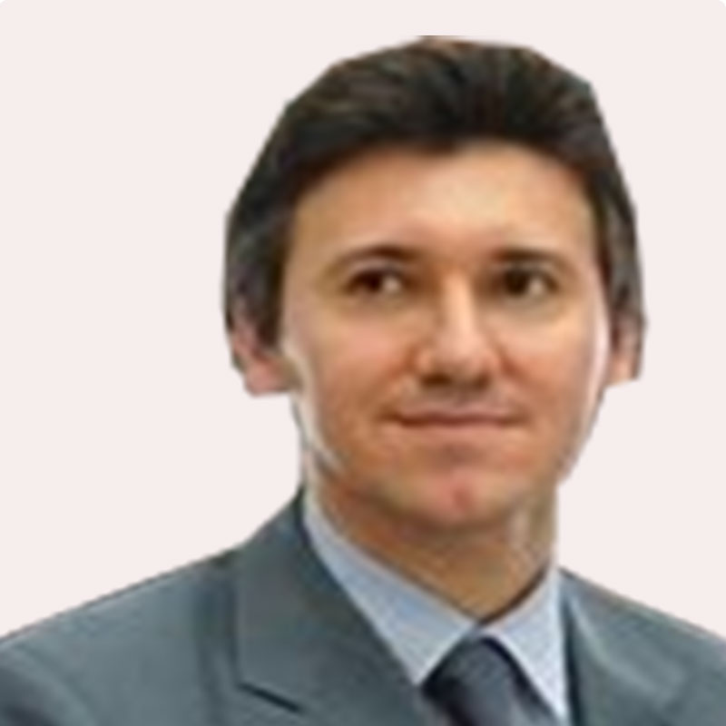 enrico palestini