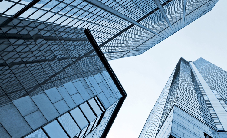 How Global Trends Impact the Office Market in the Netherlands