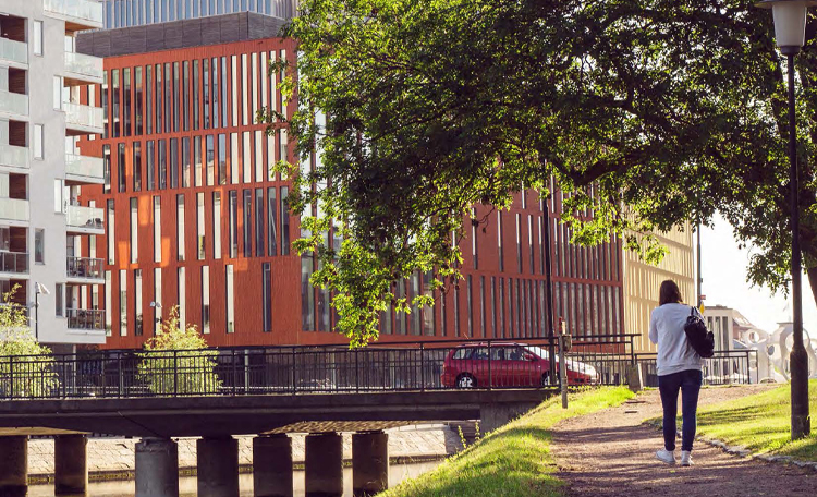 How Global Trends Impact the Residential Market in the Netherlands