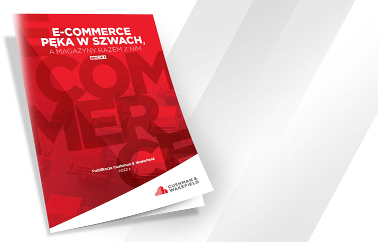 raport e commerce