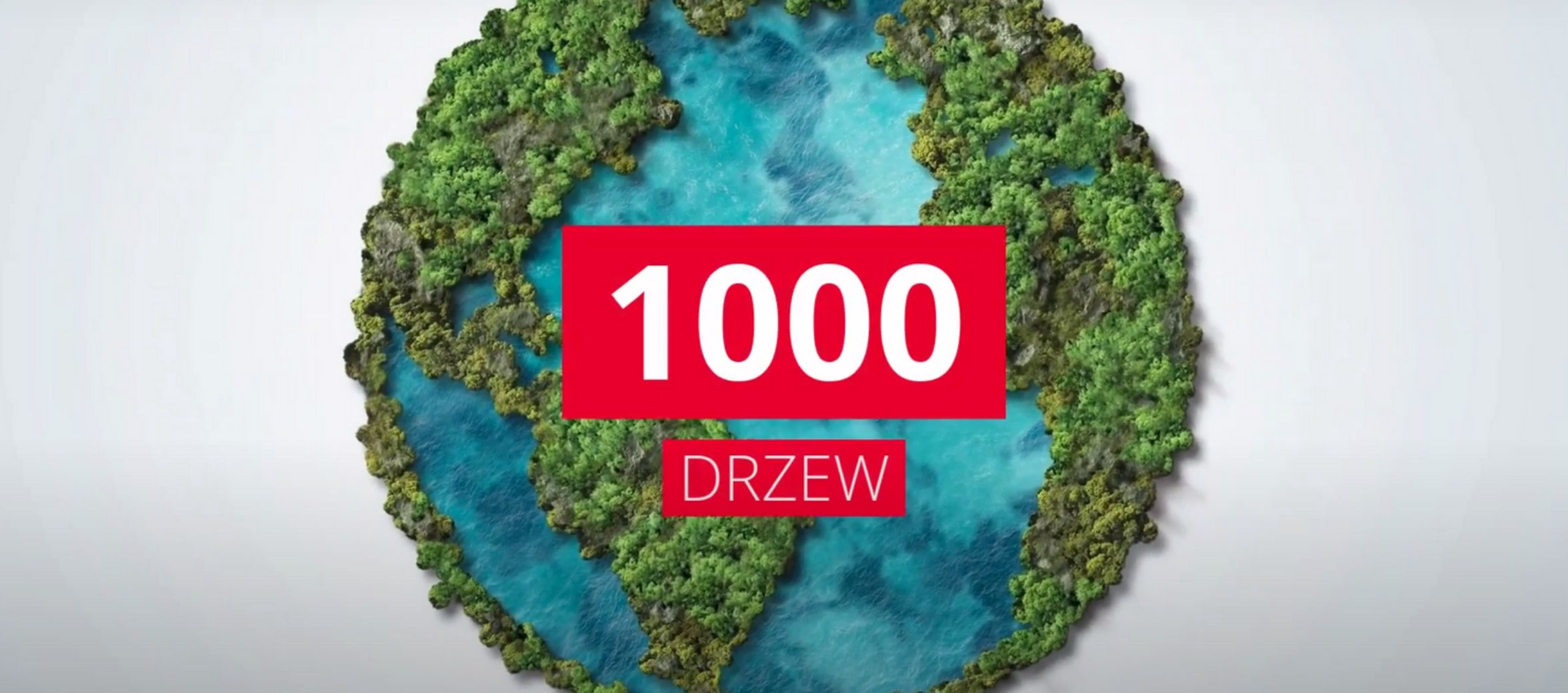 1000 drzew