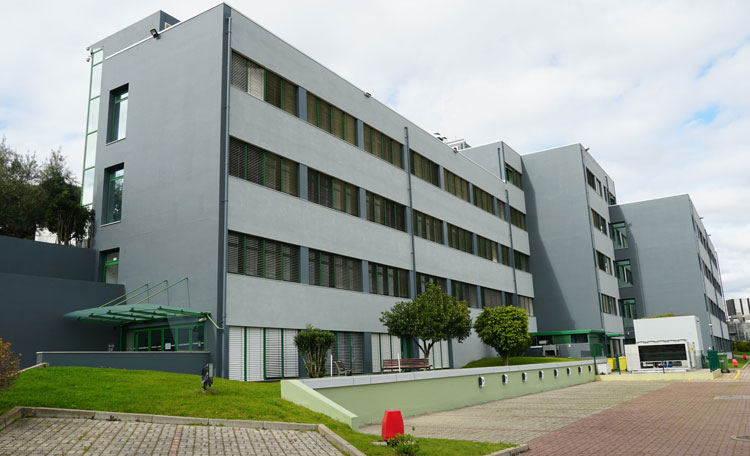 Bayer
