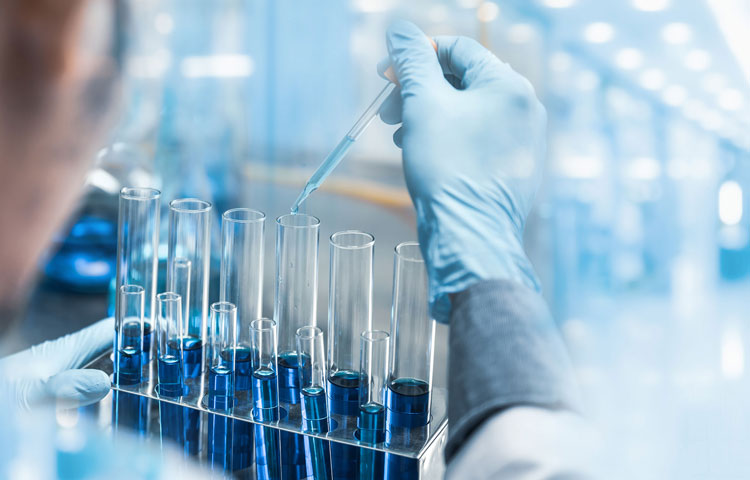 Lab