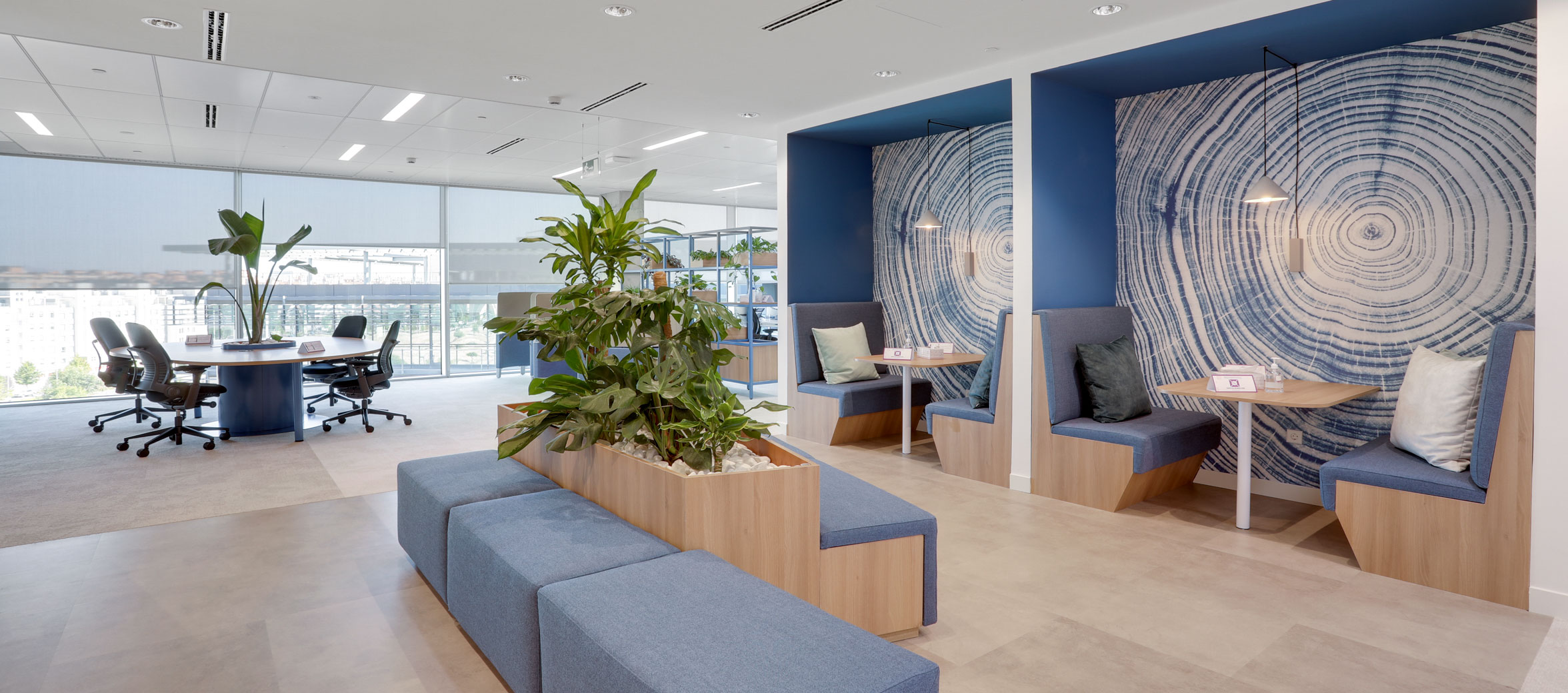 CW - BMS-nuevas-oficinas-ARBOREA-Madrid