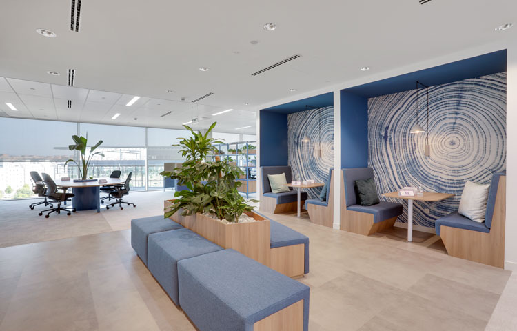 CW - BMS-nuevas-oficinas-ARBOREA-Madrid