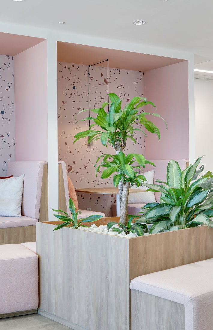 CW-Nuevas-Oficinas-BMS-Madrid-Quote
