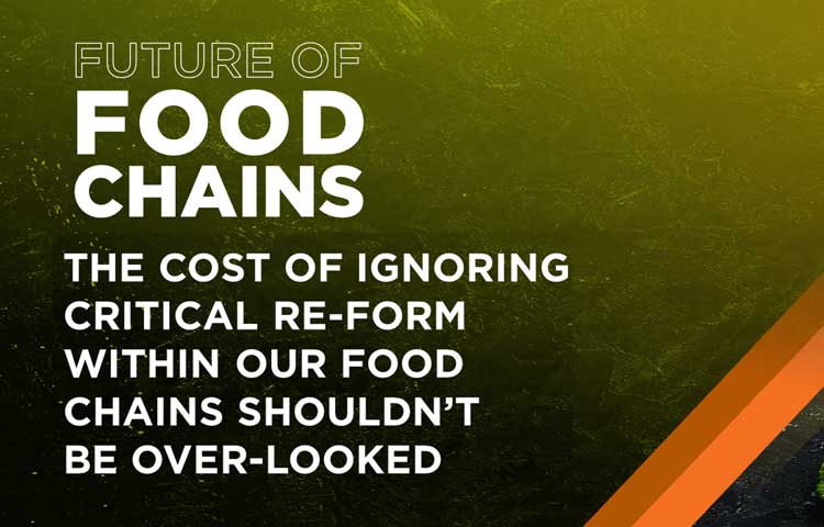 Food Chains Blog